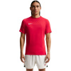 Nike Dri-Fit Park VIII Pánske červené tričko HV8173 657 Pánske 2 XL
