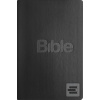 Bible 21 (Alexandr Flek)