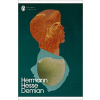 Demian. English Edition - Hermann Hesse