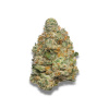 Growers Choice - Apple Fritter Auto 5 ks - semená neobsahujú THC