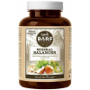 Canvit BARF Mineral Balancer 260 g