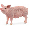 Schleich 13933 Prase