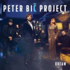 CD Peter Bič Project: Dream
