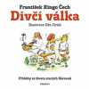 Dívčí válka