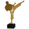 Victoria Sport Kovová trofej s mramorovým podstavcem - Karate - karateka