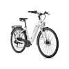 Leader Fox e-City Induktora 2022