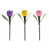 M.a.t. group Lampa solární pr. 4,8cm, v.30,5cm, 1LED, TULIPÁN, PH mix barev
