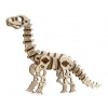 WOODEN CITY 3D puzzle Diplodocus 50 dielikov