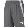 Puma teamLIGA Šortky Jr 704931 13 164 cm