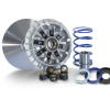 POLIN VARIATOR MAXI SPEED