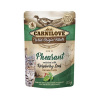 VAFO Carnilove cat Kapsička Rich in Pheasant Enriched with Raspberry Leaves 24 x 85 g