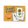 Co patří k sobě?