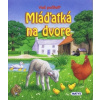 Mláďatká na dvore - Daniela Reichstädterová