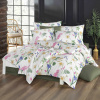 BedTex Bavlnené obliečky Flavia, 160 x 200 cm, 2 x 70 x 80 cm, 160 x 200 cm, 2 ks 70 x 80 cm