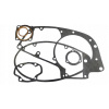 Tesnenia motora delux Wsk 125
