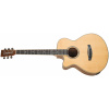 TANGLEWOOD TRU4 CE BW LH