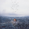 Wonder - Shawn Mendes LP