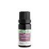 Nobilis Tilia zmes éterických olejov meditácia 10 ml