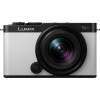 Panasonic Lumix DC-S9
