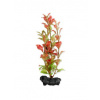 Tetra Akvarijní rostlina Red Ludwigia S 15 cm