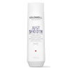 Goldwell Uhlazující šampon pro nepoddajné vlasy Dualsenses Just Smooth (Taming Shampoo) Objem: 1000 ml
