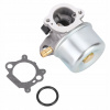 Karburátor do kosačky - Briggs & Stratton Carburetor 14111 799868 498254 (Karburátor Briggs & Stratton 14111 799868 498254)
