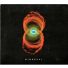 Vinyl Pearl Jam - Binaural