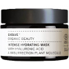 Evolve Organic Beauty Intense Hydrating Mask - 30 ml