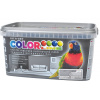 KITTFORT COLORLINE 4 kg grafitovo sivá