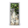 Samolepiace fototapety na dvere lemur 75x205