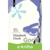 E-kniha Elizabeth Finch - Julian Barnes