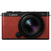 Panasonic Lumix DC-S9