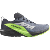 Salomon Sense Ride 5 GoreTex Men's Trail Running Shoes Flint/Black 8.5 (42.7)