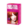 Kallos Glow farba na vlasy nr. 844 intenzívna medená 40 ml