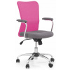 Pink Rotary Office Andy Halmar (Pink Rotary Office Andy Halmar)