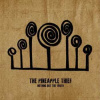 2CD The Pineapple Thief: Nothing But The Truth