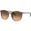 Ray-Ban RB2204 13953B - L (54)