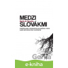 E-kniha Medzi Slovákmi - Martin M. Šimečka