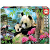 Educa puzzle Morning panda 1000 dielov a fix lepidlo 17995