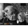 Kalendář Daniel Reynek 2017 - stolní