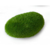 Europet Bernina Aqua Della Moss Ball medium 10x6,5x5 cm