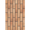 CERRAD LOFT BRICK CURRY fasádny obklad 6,5 x 24,5 cm