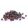 Boilies Duplex - PIKANTNÝ KRILL / SLIVKA a CESNAK - Ø 20 mm 1 kg