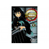 Demon Slayer Zabiják démonů (Demon Slayer) 12 - Sněm vyšších Měsíců