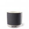 Pantone Latte termo Cool Gray 210 ml