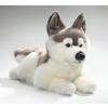 Plyšový pes husky 40 cm - plyšové hračky