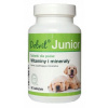 Dolfos Dolvit Junior doplnok stravy vitamíny pre mladé psy 90 tab
