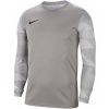 Detská brankárska mikina Dry Park IV JSY LS GK JR CJ6072-052 - Nike M