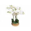 UMELÝ BIELY ORCHIDEA V ZLATOM KVETINÁČI PLAST 65 CM