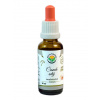 Salvia Paradise Česnek setý AF tinktura 30 ml